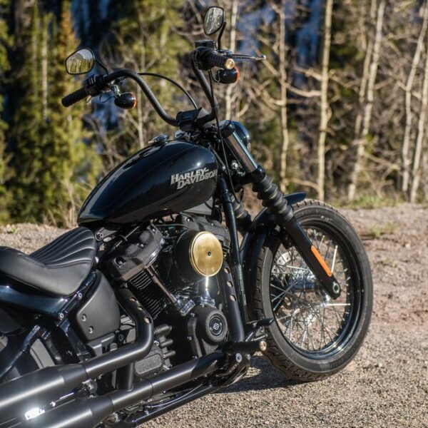 928234ak_1742222536-9B4s1EVS-large Arlen Ness, Air Trax -kahvat. Messinkinen päätykansi