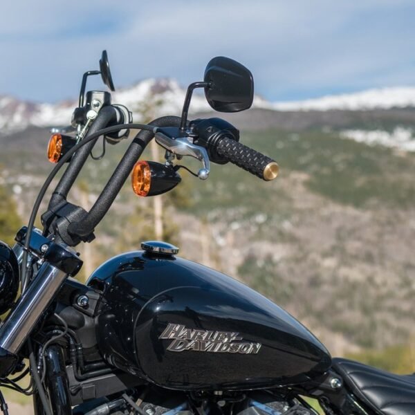 928234bk_1742222518-hWGux6sq-large Arlen Ness, Air Trax -kahvat. Messinkinen päätykansi