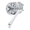 569754ak_1742201926-Ytpha4e6.jpg Arlen Ness, 10-gauge caged mirror left hand chrome