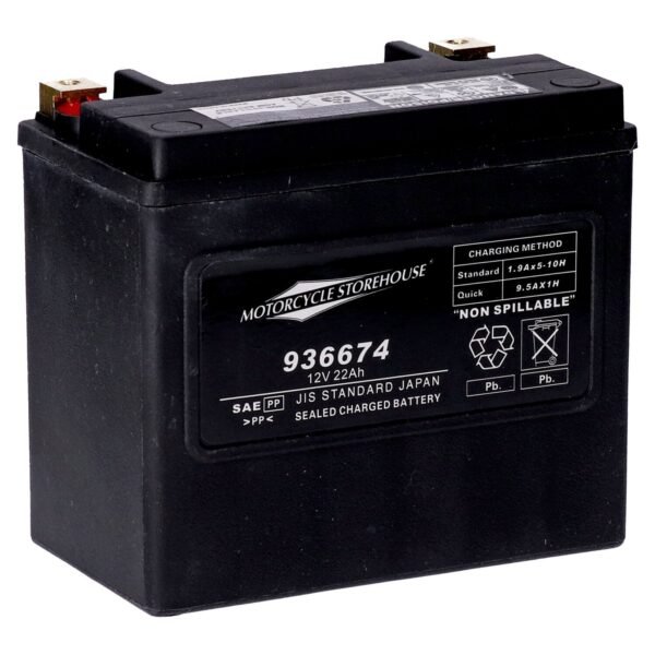 MCS, standard series - AGM sealed battery. 12V, 22Ah. 325CCA