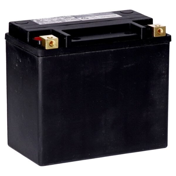 MCS, standard series - AGM sealed battery. 12v, 22ah. 325cca