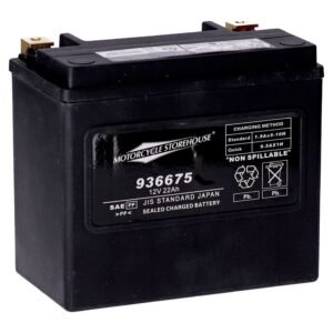 MCS, standard series - AGM sealed battery. 12v, 22ah. 325cca