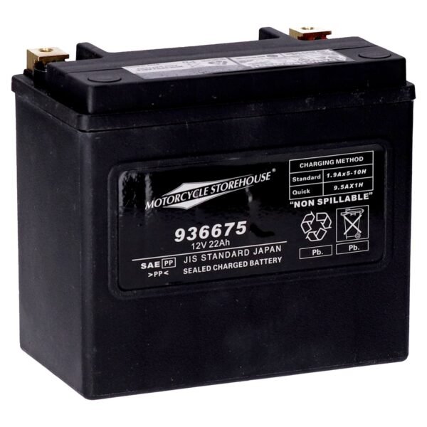 MCS, standard series - AGM sealed battery. 12v, 22ah. 325cca