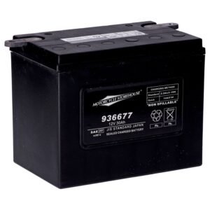 MCS, standard series - AGM sealed battery. 12v, 30ah. 370cca