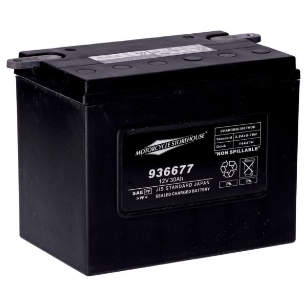 936677k_1742219196-AyQtyQL.jpg MCS, standard series - AGM sealed battery. 12v, 30ah. 370cca