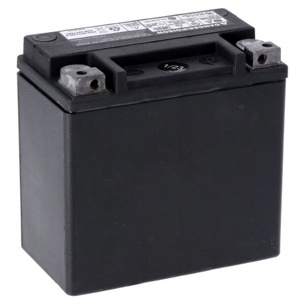 955122bk_1742227409-YzheIbZR.jpg MCS, Advance Series - AGM sealed battery. 12v, 12Ah, 220cca