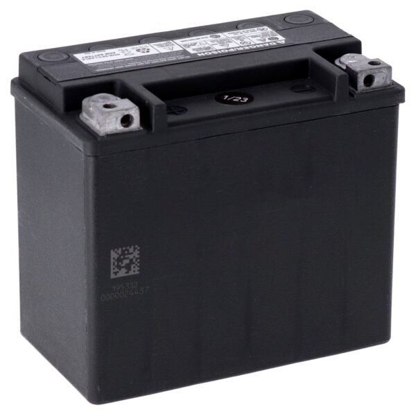 955125bk_1742227414-HoVV3FFt.jpg MCS, Advance Series - AGM sealed battery. 12v, 19ah. 325cca