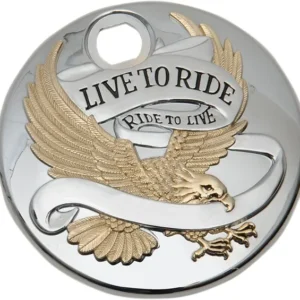ff48adc74b567f1d86f6e9fa1b78cd11_600.webp DOOR GAS LTR GOLD 92-07