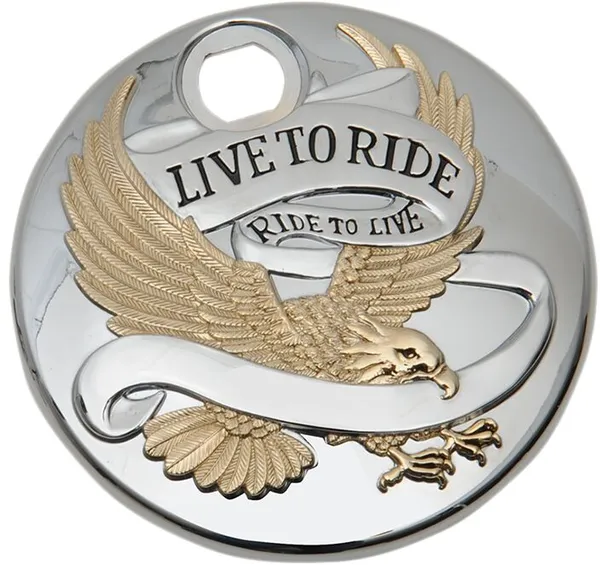 ff48adc74b567f1d86f6e9fa1b78cd11_600.webp DOOR GAS LTR GOLD 92-07
